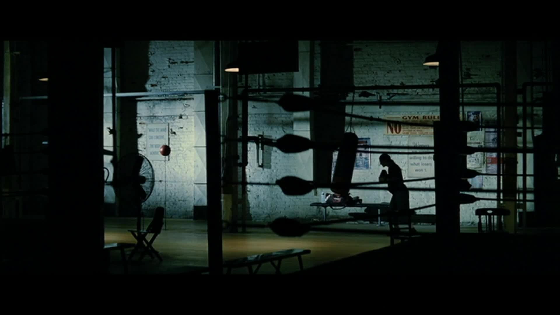 Million Dollar Baby 2004 CZ dabing HD mp4