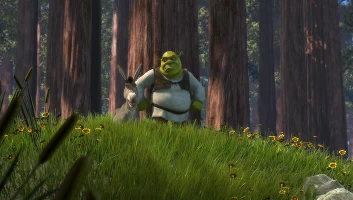 Shrek 1 =2001 CZ avi