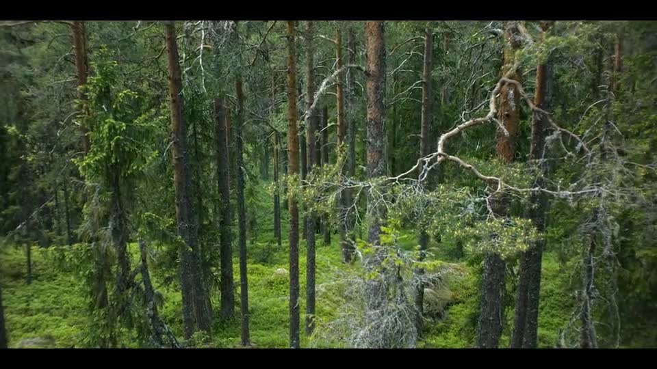 Ronja, dcera loupežníka S02E03 2024 CZ dabing HD mkv