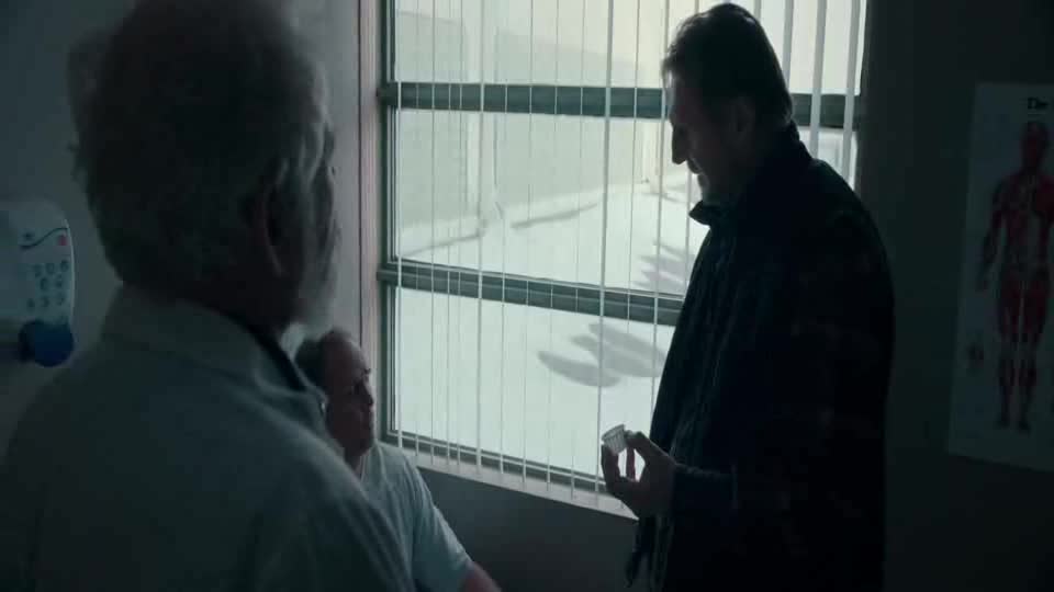 Mrazivá past (Liam Neeson,Marcus Thomas,Laurence Fishburne 2019 Akční Thriller Bdrip 1080p ) Cz dabing avi